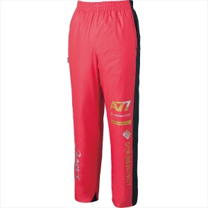 XAW7010123XAW80101233