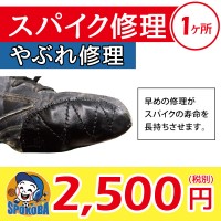 spokoba-spike-repair