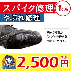 spokoba-spike-repair