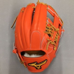 1ajgh84350-dobayashi