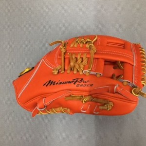 1ajgh84350-dobayashi