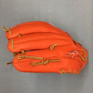 1ajgh84350-dobayashi