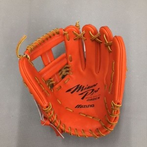 1ajgh84350-dobayashi