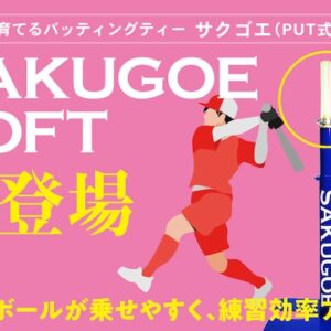 sakugoe-soft