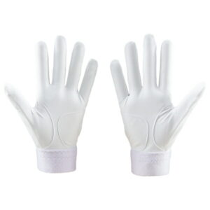 bg13012hs-1100