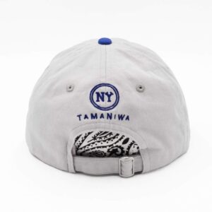 tn-06cap-grey