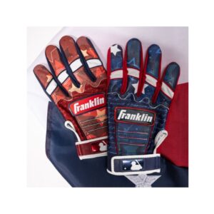 franklin-bb10166289